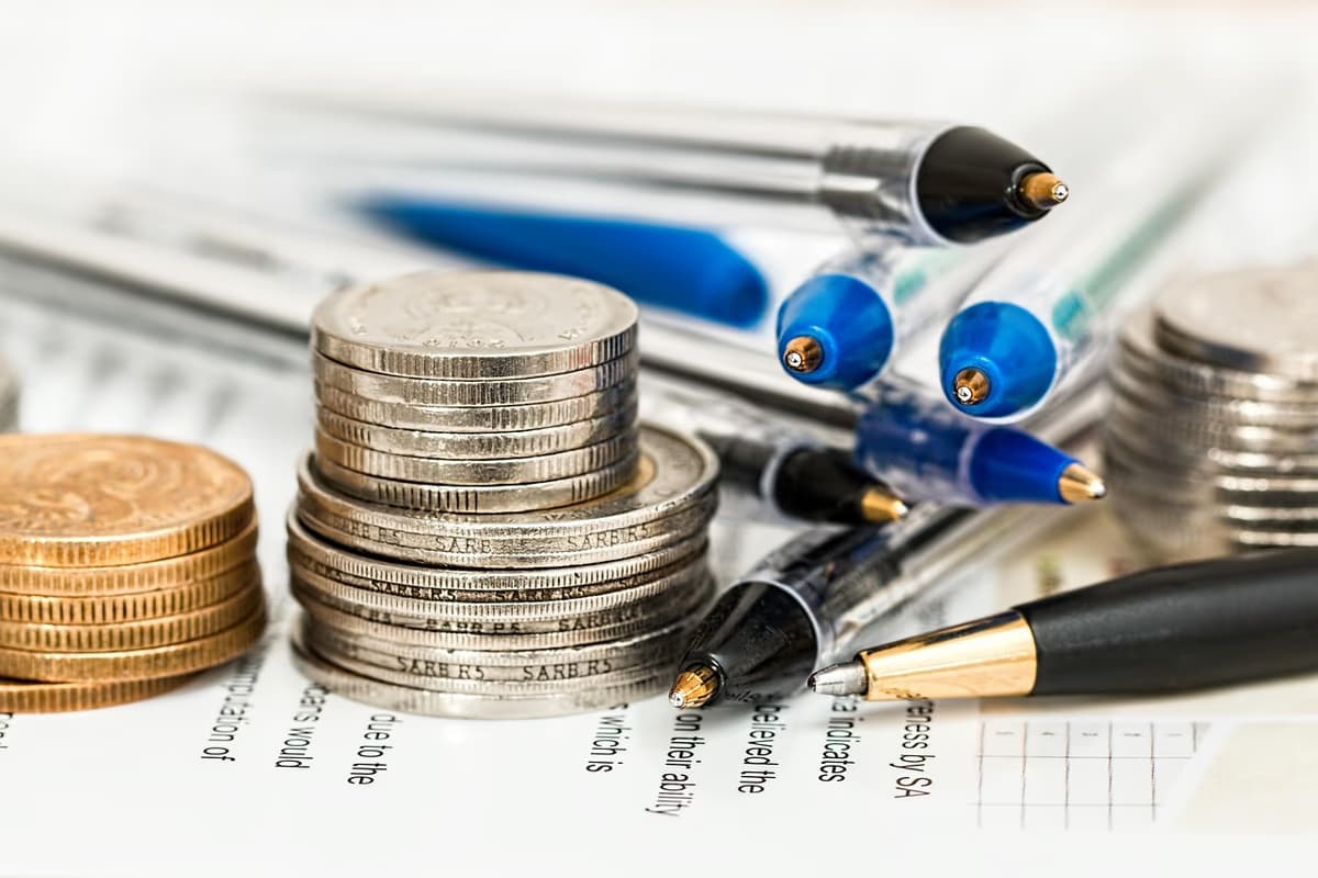 DA slams Gauteng's R63m FMD budget as woefully inadequate - South African business and economy