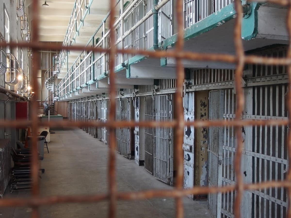 July unrest instigator handed 12-year prison term for inc... - South African crime and justice news