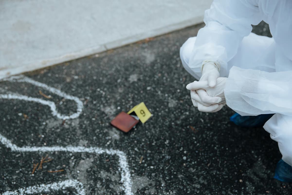 Gauteng Anti-Gang Unit nabs murder suspect after Nigel-to... - South African crime and justice news
