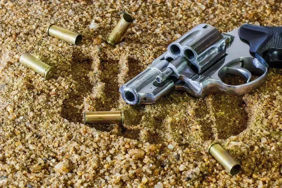 Hawks recover over 500 rounds of looted ammunition in KwaZulu-Natal raid - crime and justice in South Africa