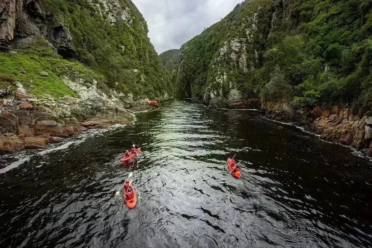 Missing man found alive in Western Cape mountains after eight-day search - South African news
