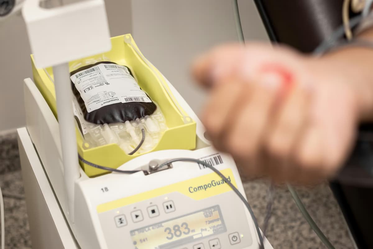 SANBS appeals for 6 000 blood donations before Easter lon... - South African South African news