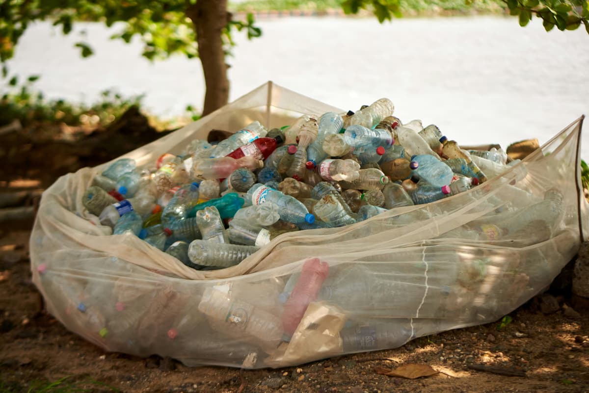 Gauteng faces mounting ecological crisis as pollution levels soar - South African news