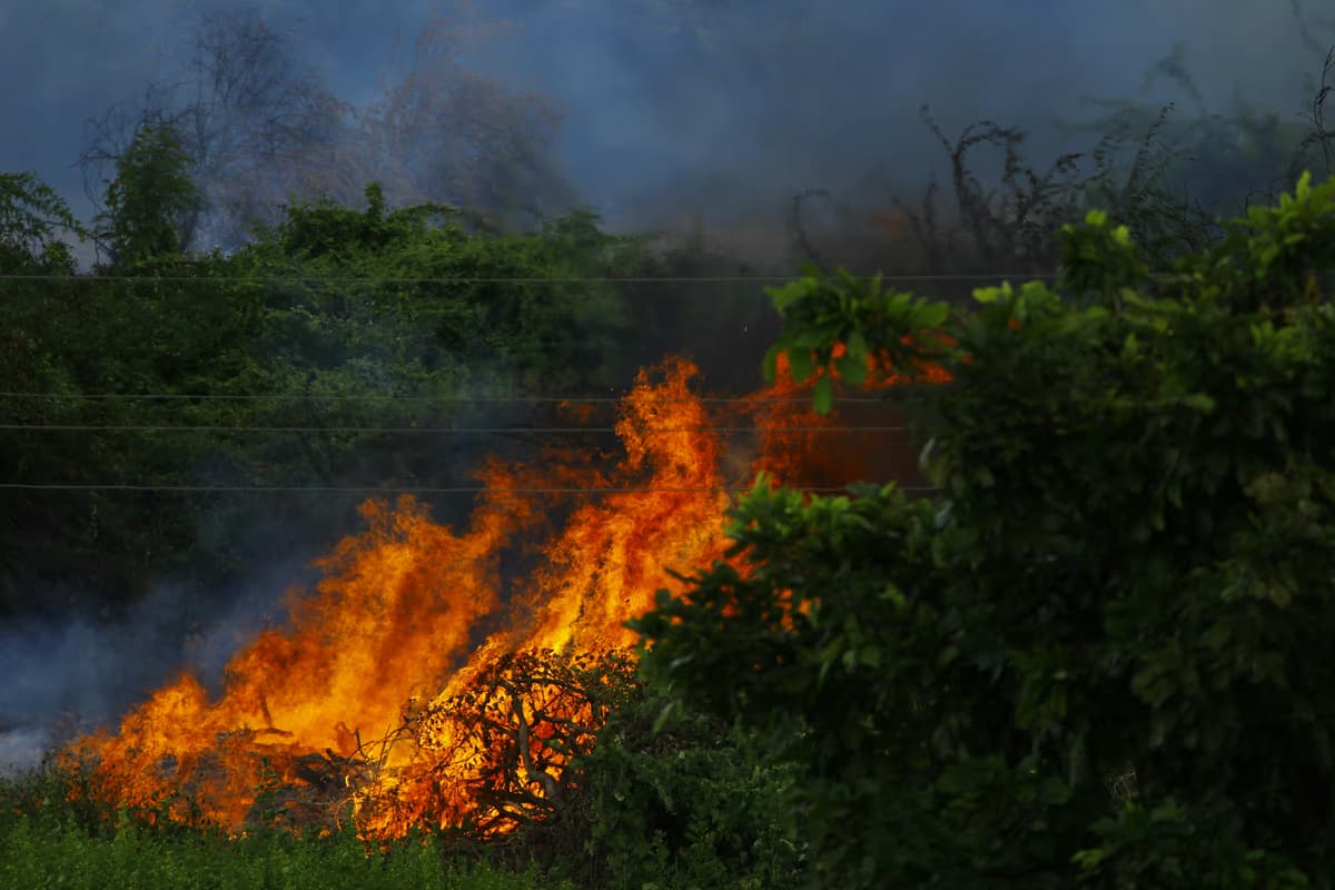 Majodina set to unveil critical Green Drop Report on SA w... - South African South African news